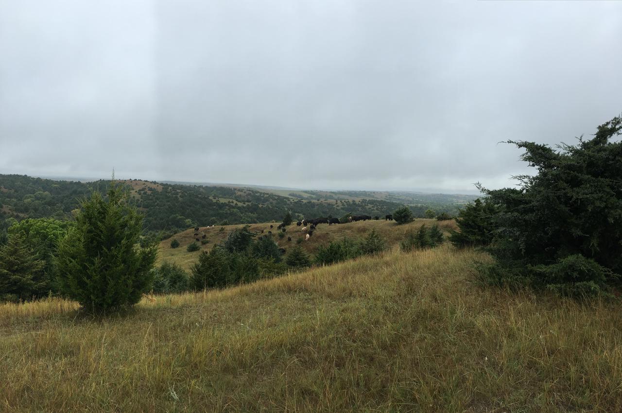 Comstock Premier Lodge Llc Sargent Экстерьер фото